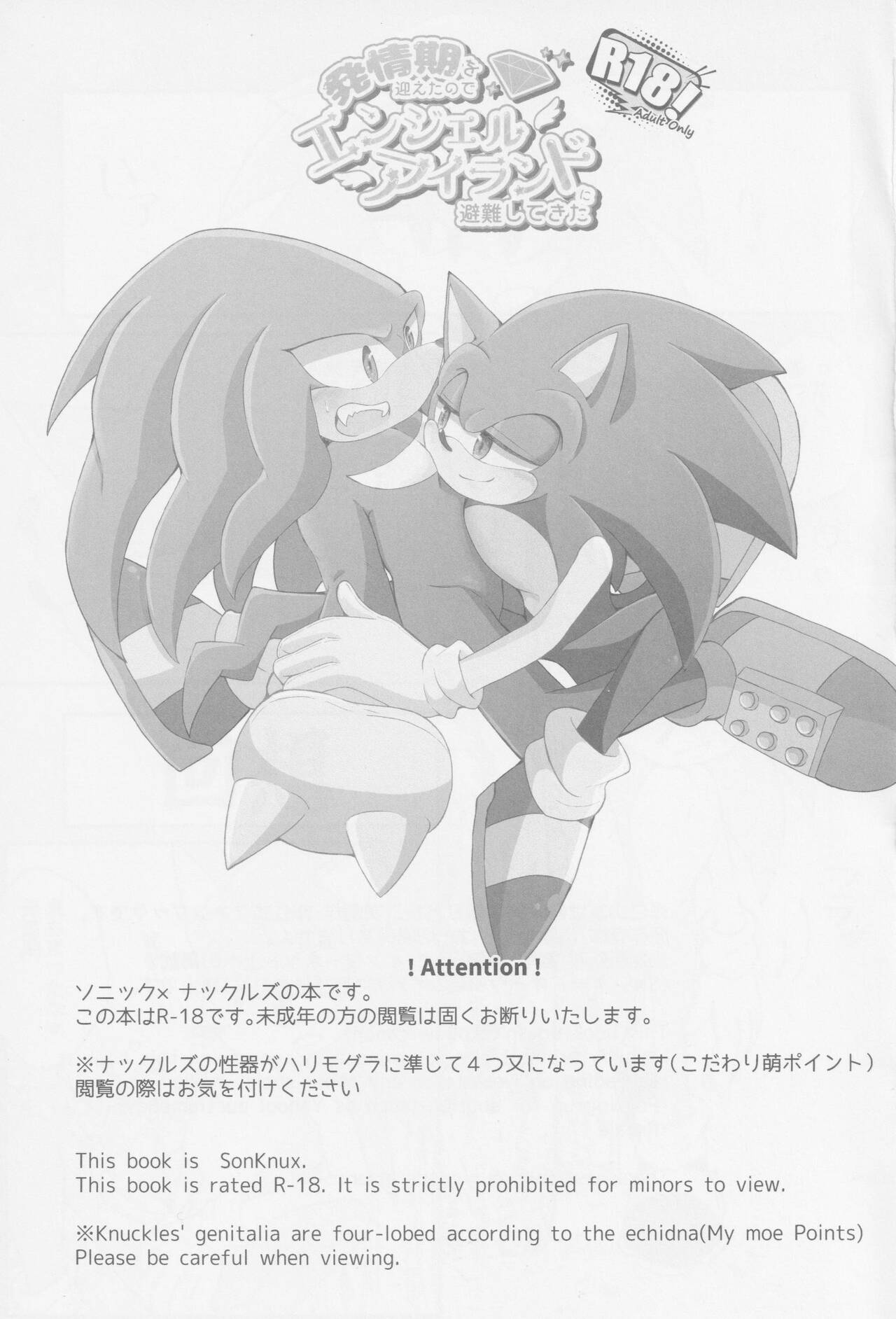 Hatsujouki o Mukaeta no de Angel Island ni Hinan shitekita page 2 full