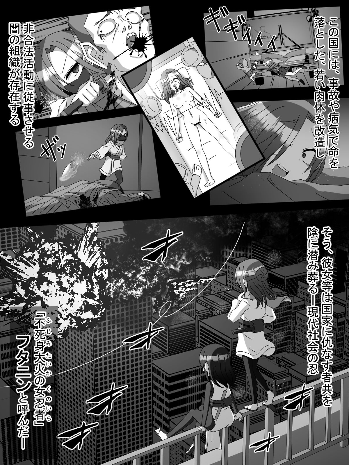 Fujimi Taika no On'na Ninja FutaNin Tsubaki page 3 full