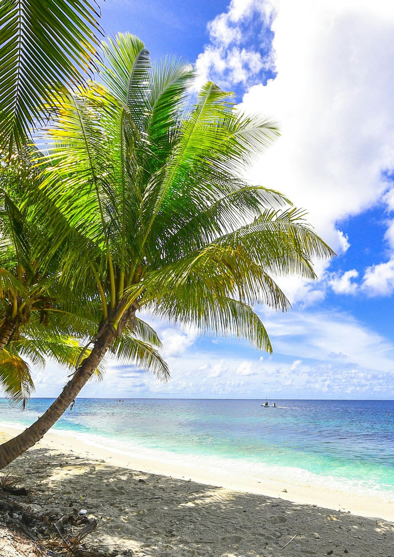 我的妈妈被损友穿上了22 page 1 full