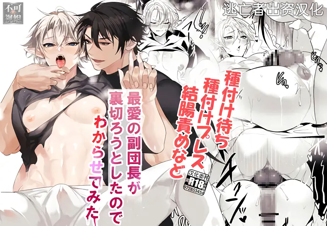 最愛の副団長が裏切ろうとしたのでわからせてみた page 1 full