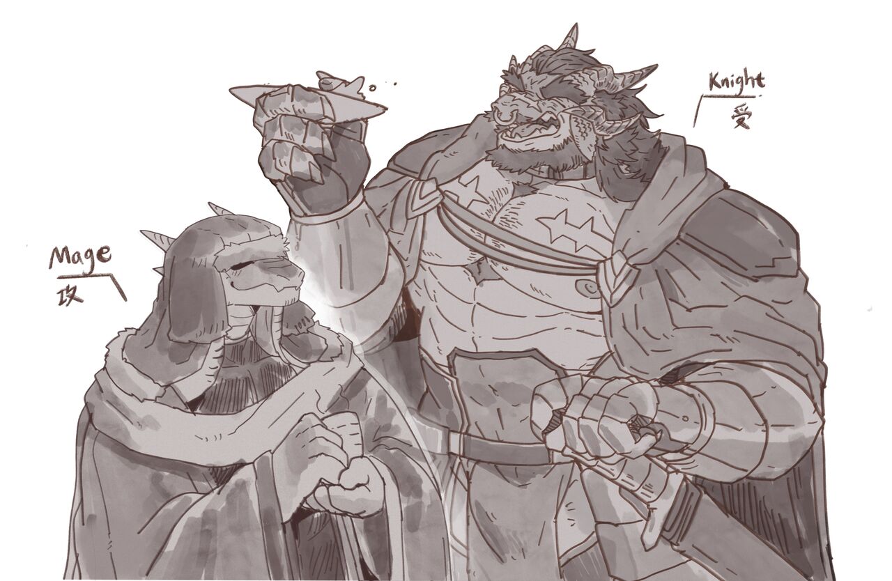 龙骑士和龙法师 page 1 full