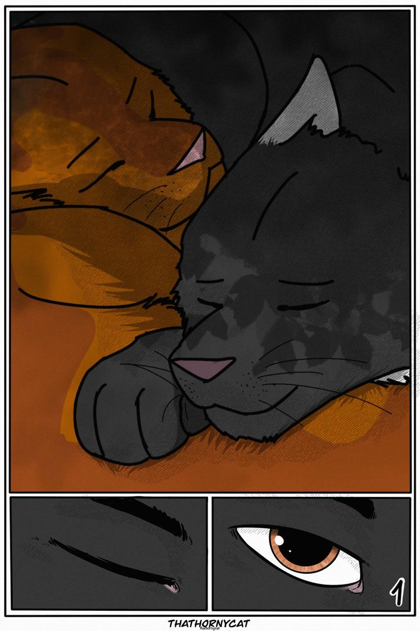 【Warriorcats】 Talltail x Jack Artist:thathornycat page 4 full