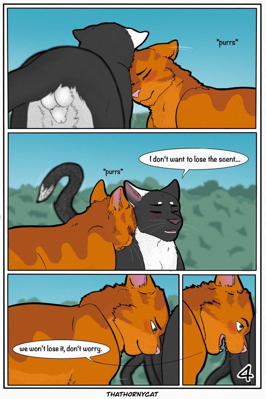 【Warriorcats】 Talltail x Jack Artist:thathornycat page 7 full