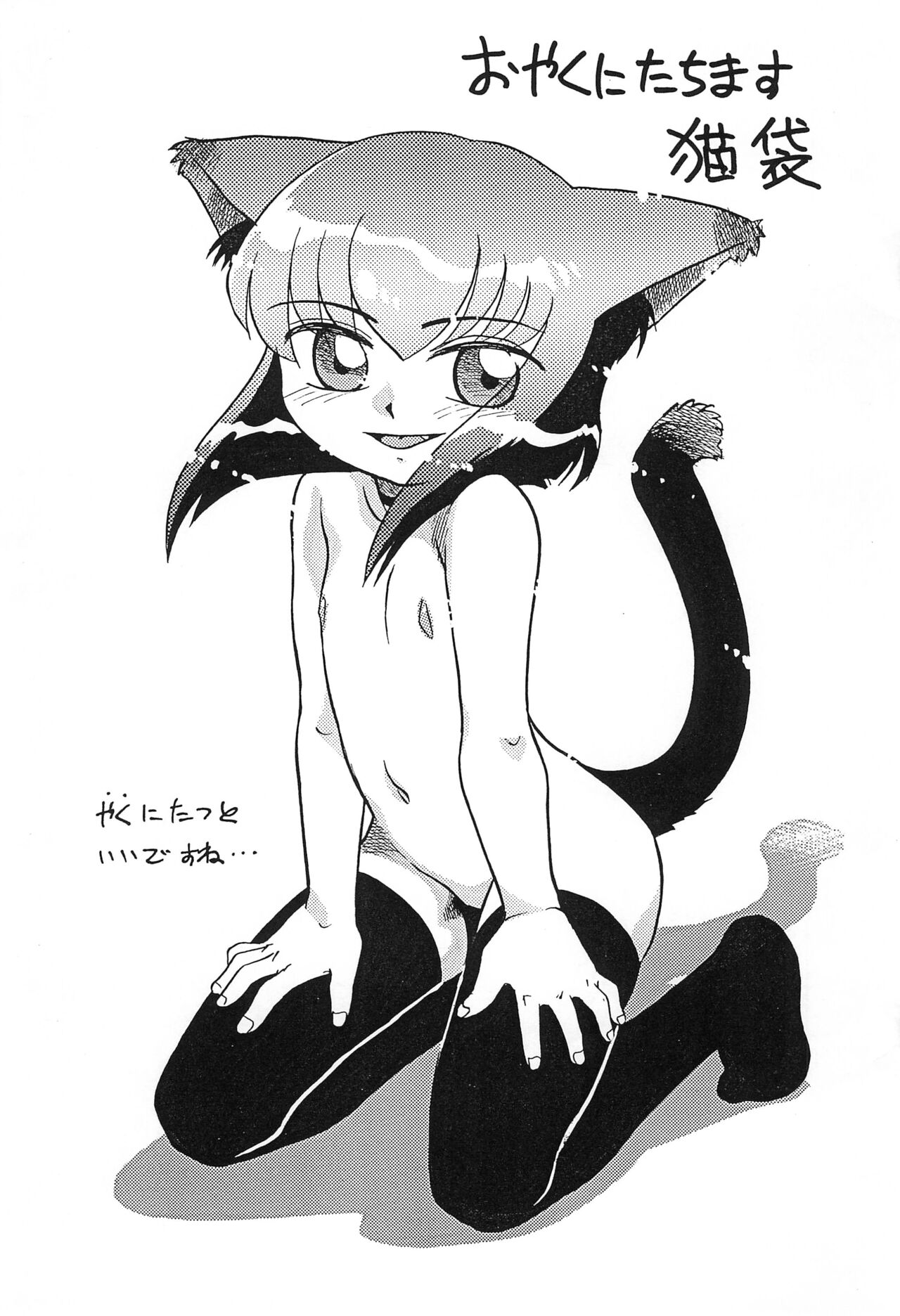 Oyaku ni Tachimasu Nekobukuro page 3 full