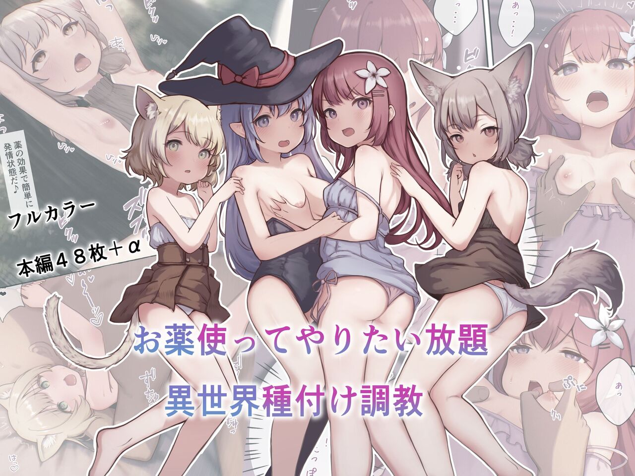 お薬使ってやりたい放題!異世界種付け調教 page 1 full