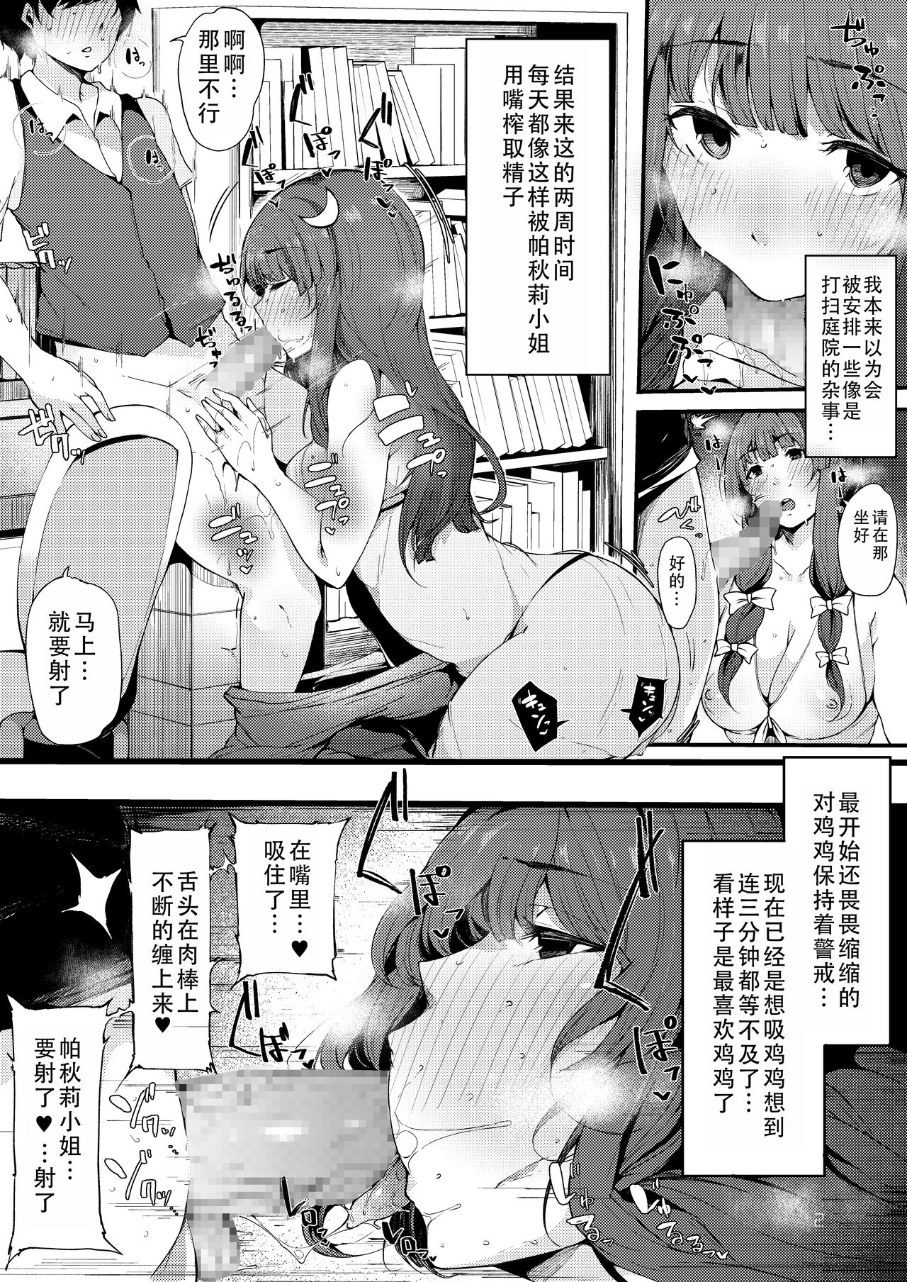 Koumakan no Majo ni Hirowareta Boku.| 被红魔馆的魔女捡到的我 page 3 full