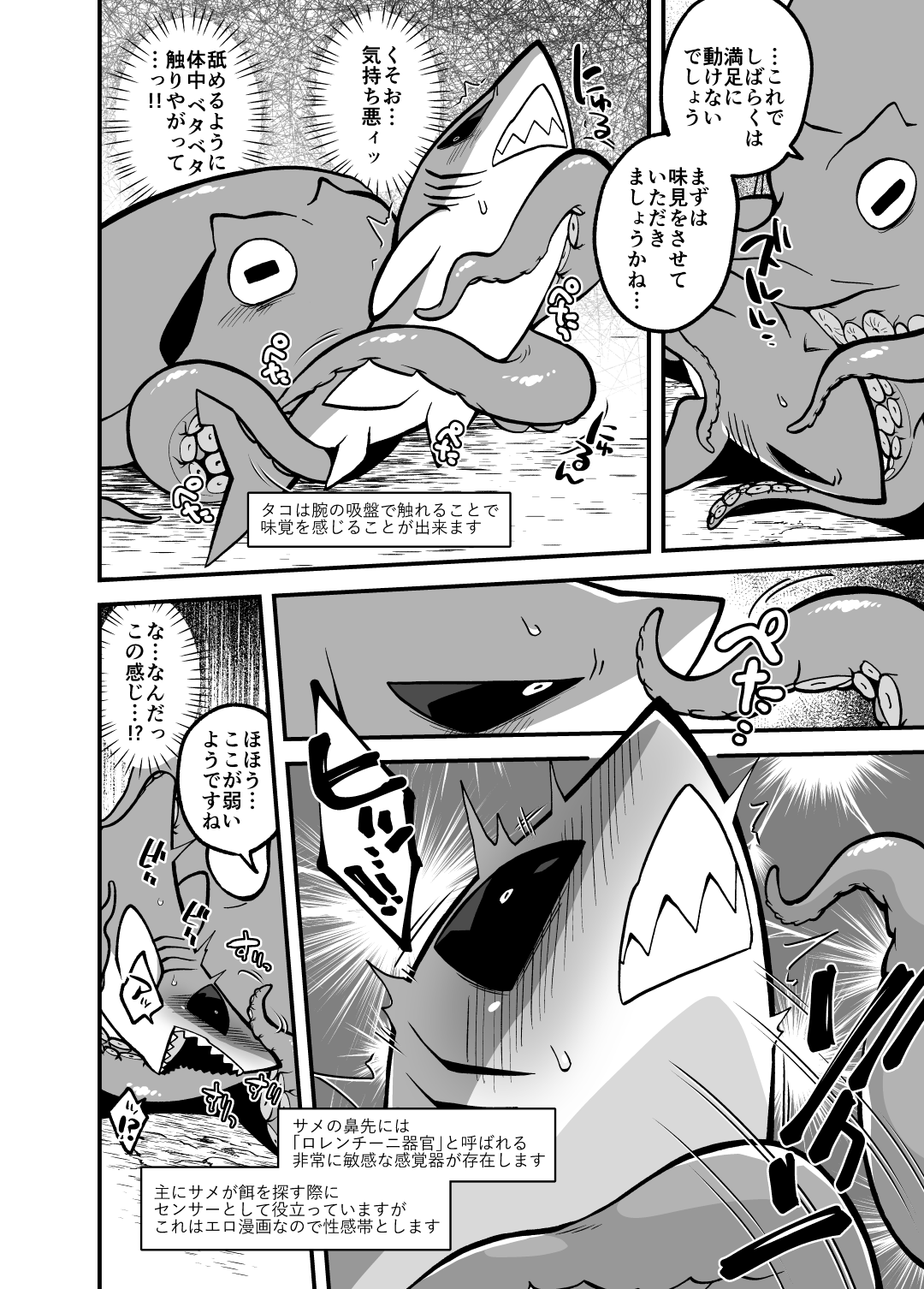 Umi no Ikimono Zukan page 7 full