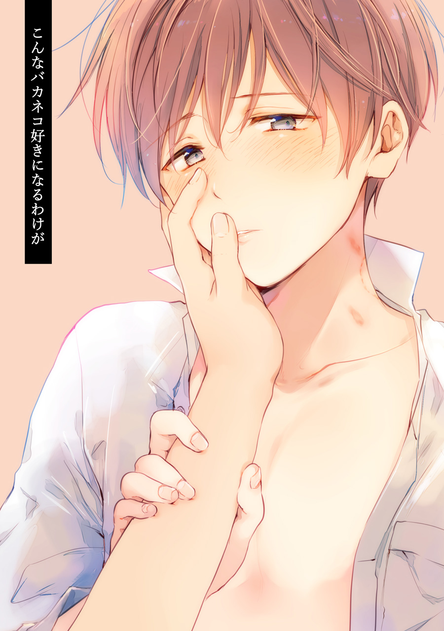 【再録集】こんなバカネコ好きになるわけが【加筆修正版】 page 3 full