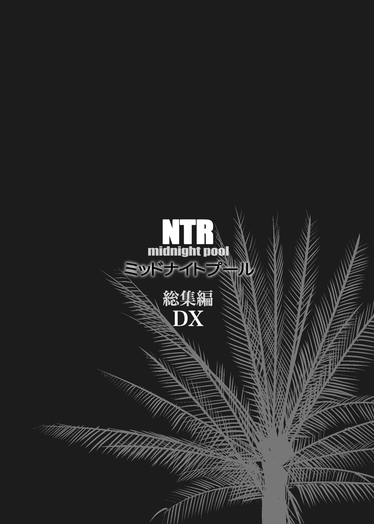 NTR THE MIDNIGHT POOL Soushuuhen DX page 2 full