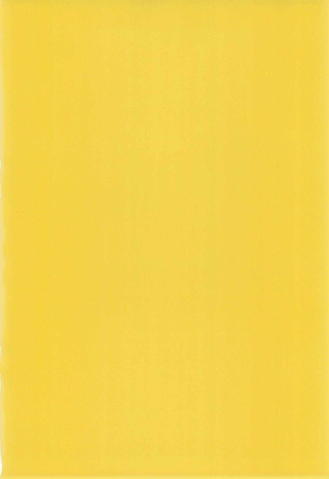 SKYNSKBB page 4 full