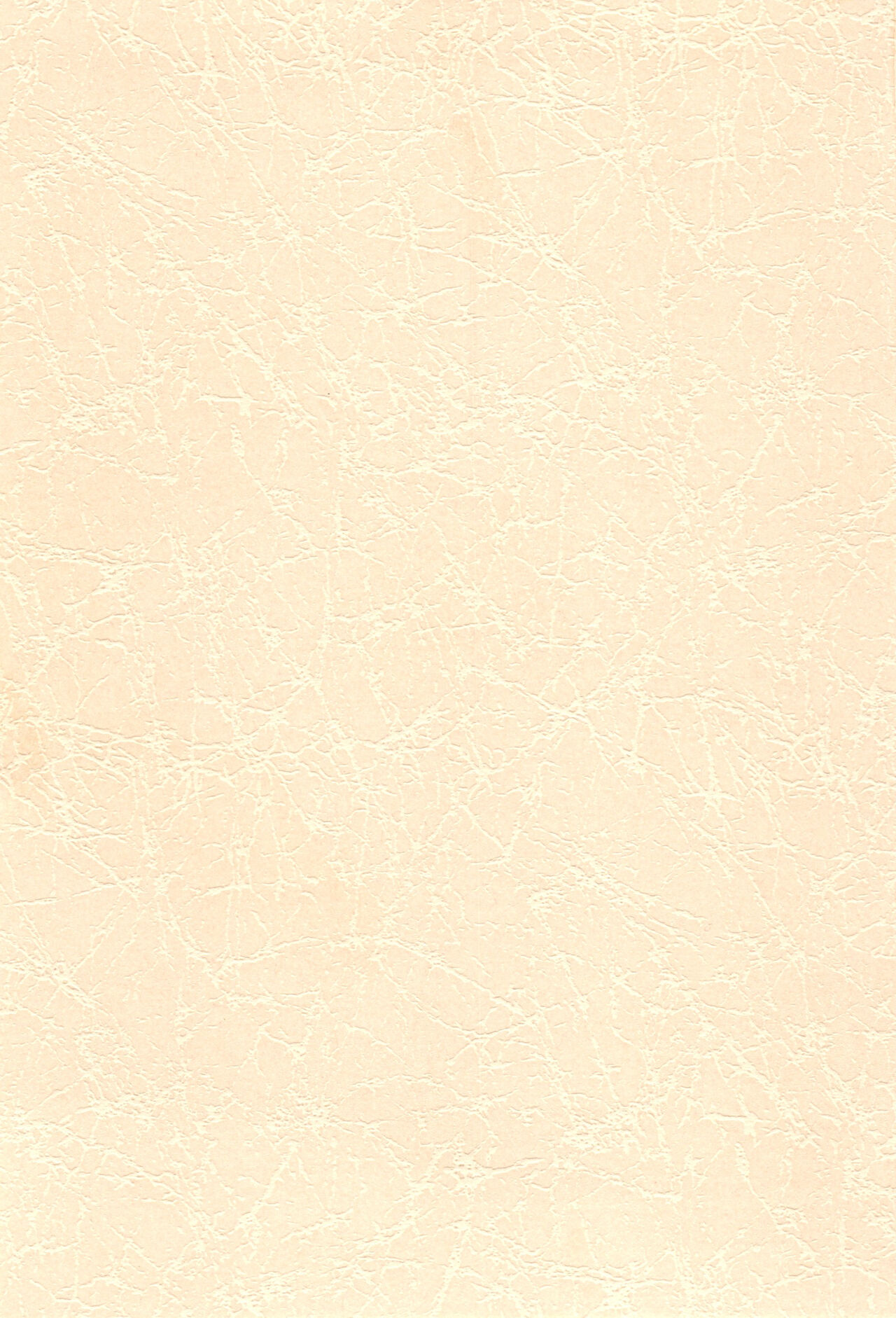 21JUNK MIX page 2 full