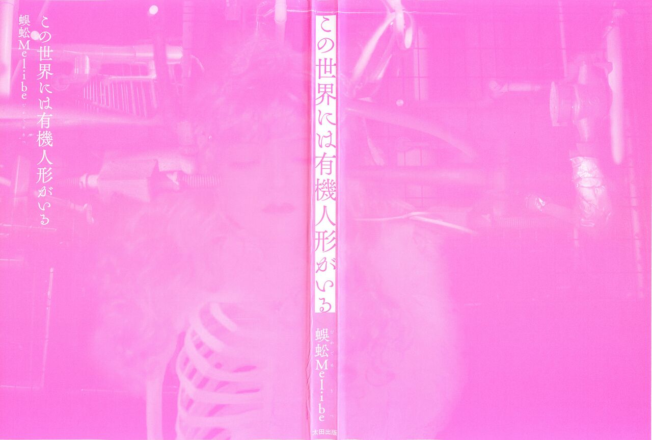 Kono Sekai niwa Yuuki Ningyou ga Iru page 3 full