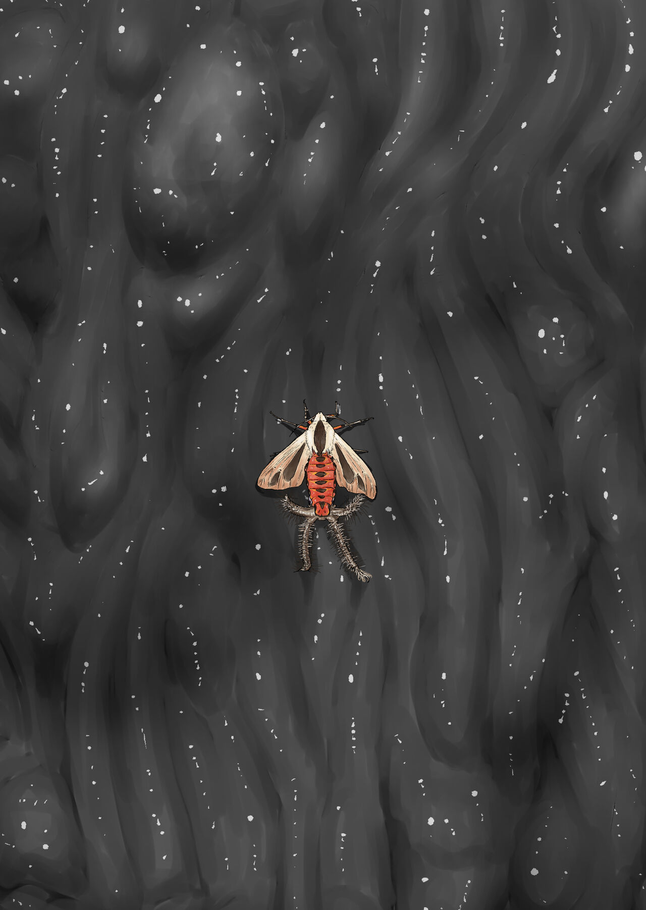 Shock触ブリギュア6 page 2 full