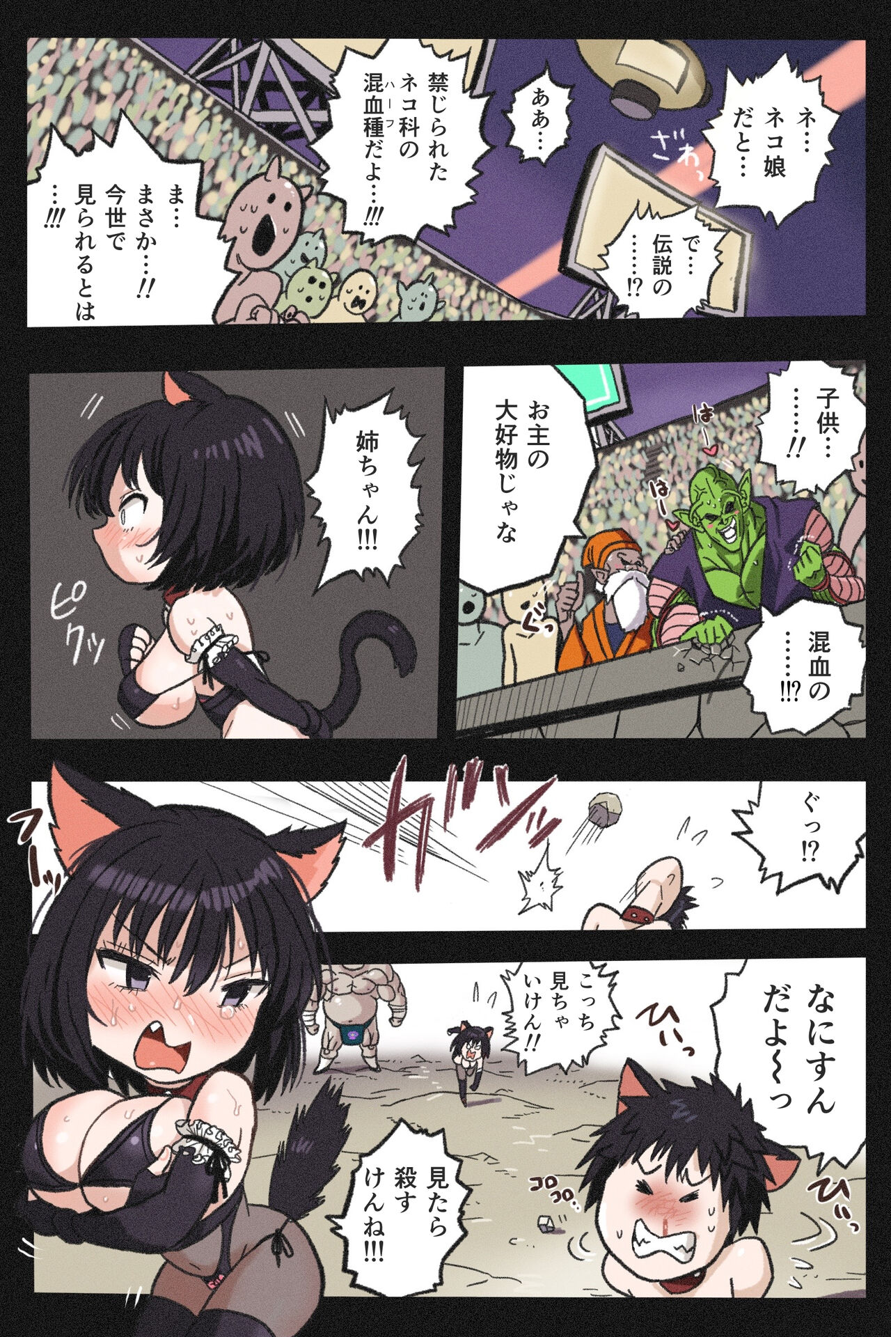 まんこく武術会4～ヤク漬け★ねこ娘調教編～ page 10 full